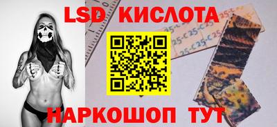 крисы Пенза