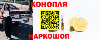 крисы Пенза