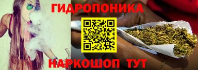 крисы Пенза