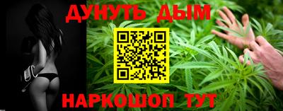 крисы Пенза