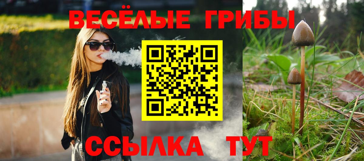 Псилоцибиновые грибы MAGIC MUSHROOMS  Вход с VPN  Сосновоборск  Галлюциногенные грибы Magic Shrooms 